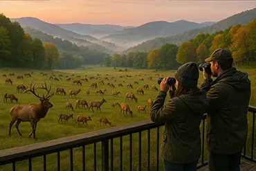 Elk Hunting in KY