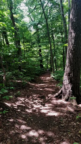 Charles and Betty Russell Park Trailhead