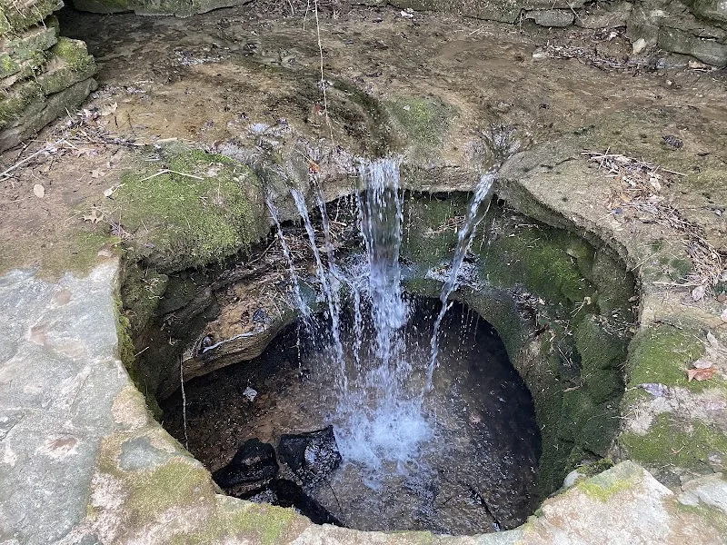 Sinking spring