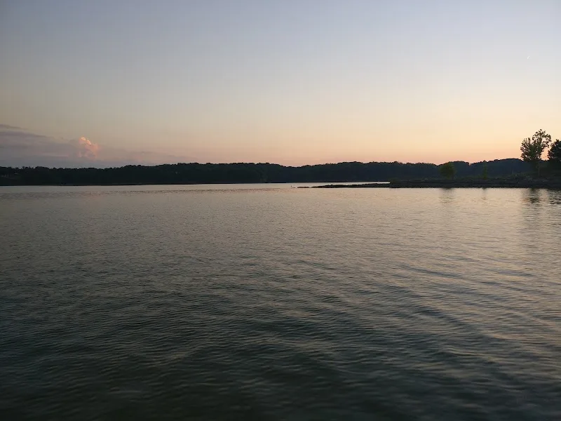 Narrows Marina