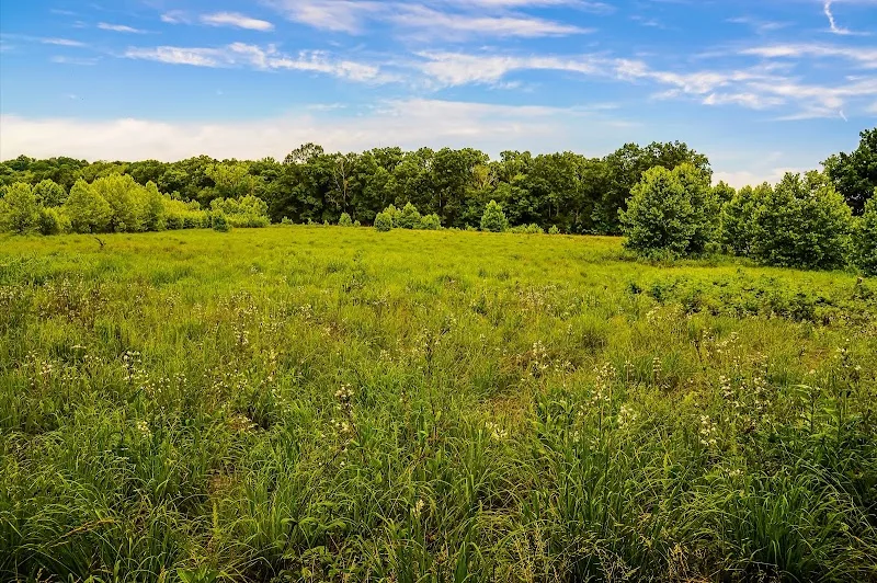 Prairie Preserve Trail