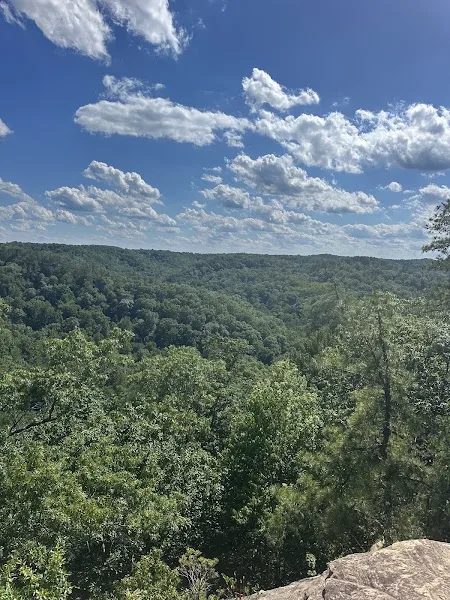Natural Bridge State Park Woodland Center