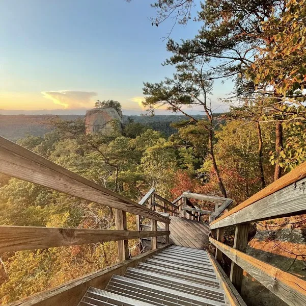 The Hive at High Rock - Unique Stays, Massage, Acupuncture and Immersive Thermal Spa