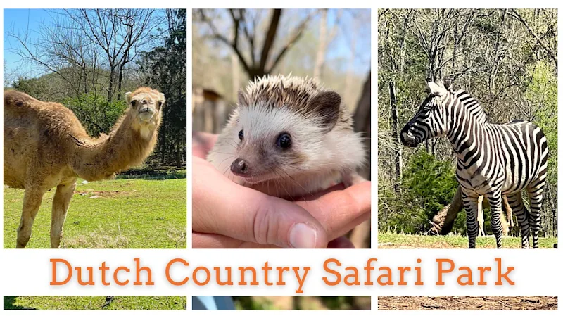 Dutch Country Safari Park